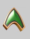 Distinguished Combat Efficiency Pin
